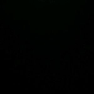 Meet your Posher, Abigail